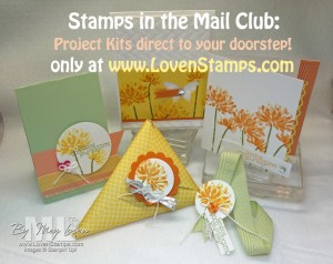 Stamps in the Mail Club: New Round sign-ups are now for Too Kind project kits