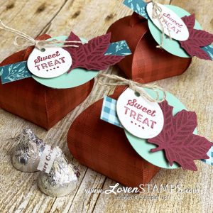 mini curvy keepsakes box die project idea