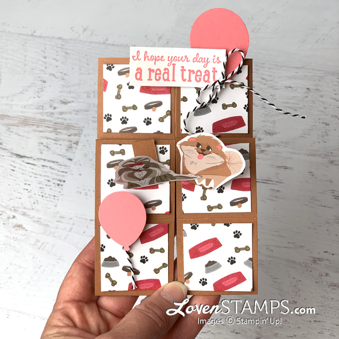 3d pop up cube card playful pampered pets lovenstamps stampin up how to video tutorial