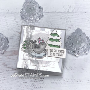 freezin fun clear acetate treat box winter coloring