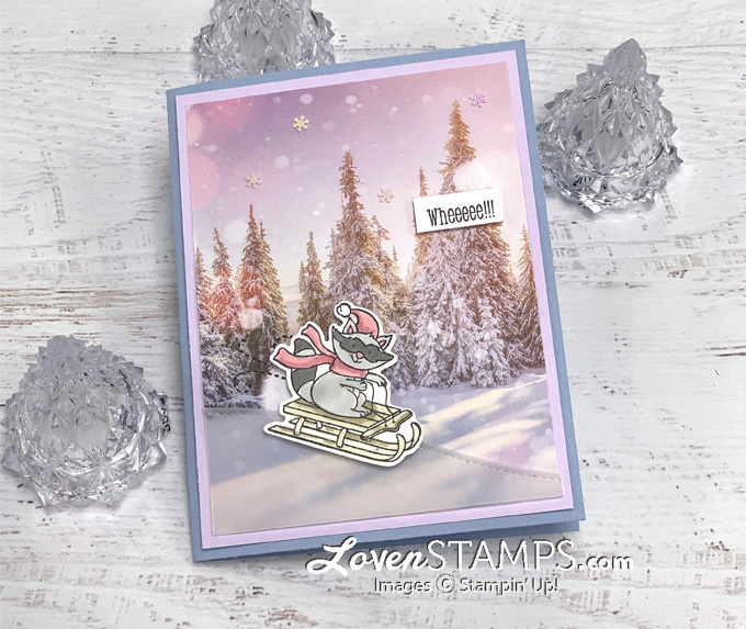 raccoon sledding winter greeting card snowy scene trees