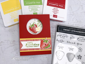 sweet strawberry spinner card circle punch window stamp set