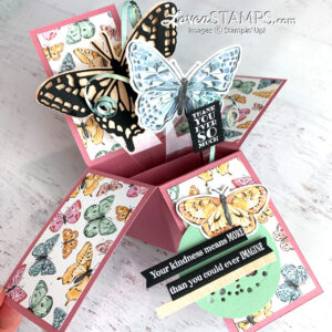 pop-up-box-card-butterfly-brilliance-wings-dies-bijou-dsp-video-tutorial-panels