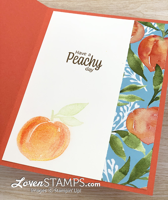 split-front-card-layout-stampin-up-sweet-as-a-peach-soft-pastels-assortment-technique-tutorial-fun-fold