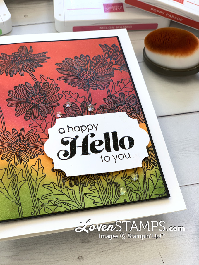 daisy-garden-sunny-sentiments-black-heat-emboss-blending-brushes-ombre-rainbow-card-clean-simple-stampin-up-tutorialw-ink-pads