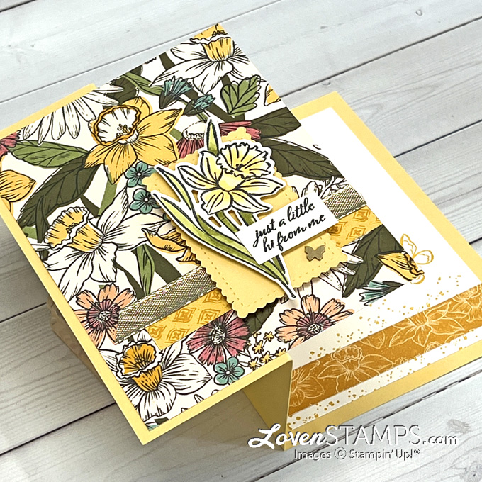 z-fold-daffodil-daydream-afternoon-dsp-stampin-blends-brass-butterfly-card-tutorial-open-wide