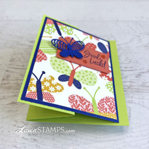z-fold-dsp-front-butterfly-kisses-charming-sentiments-stampin-up-close