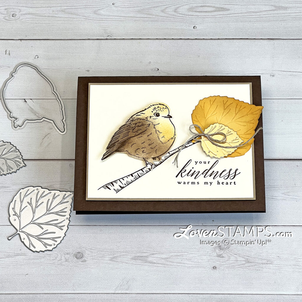 perched-in-a-tree-aspen-leaves-cute-bird-how-to-color-stampin-up-blending-brushes-sponge-daubers-close-BIRD-technique