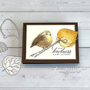 perched-in-a-tree-aspen-leaves-cute-bird-how-to-color-stampin-up-blending-brushes-sponge-daubers-close-BIRD-technique