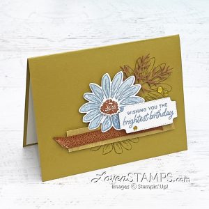 ep-369-cheerful-daisies-fresh-wild-wheat-flower-collage-2023-2025-in-color-birthday-inside