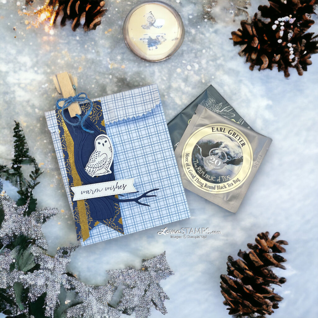 ep-408-winter-owls-gift-bags-treat-stampin-up-tag-shining-brightly-dsp-snowy scene winter