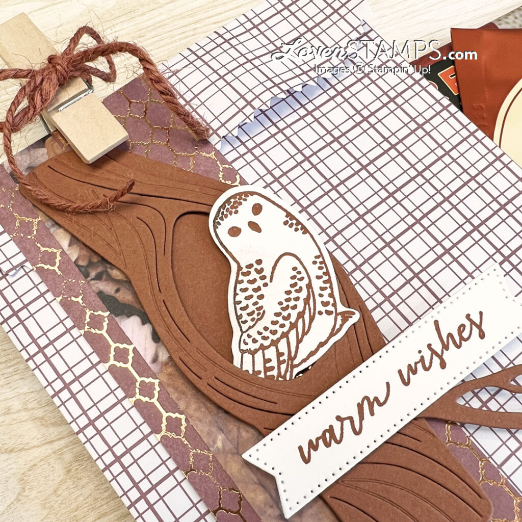 ep-408-winter-owls-gift-bags-treat-stampin-up-tag-shining-brightly-dsp-mauve