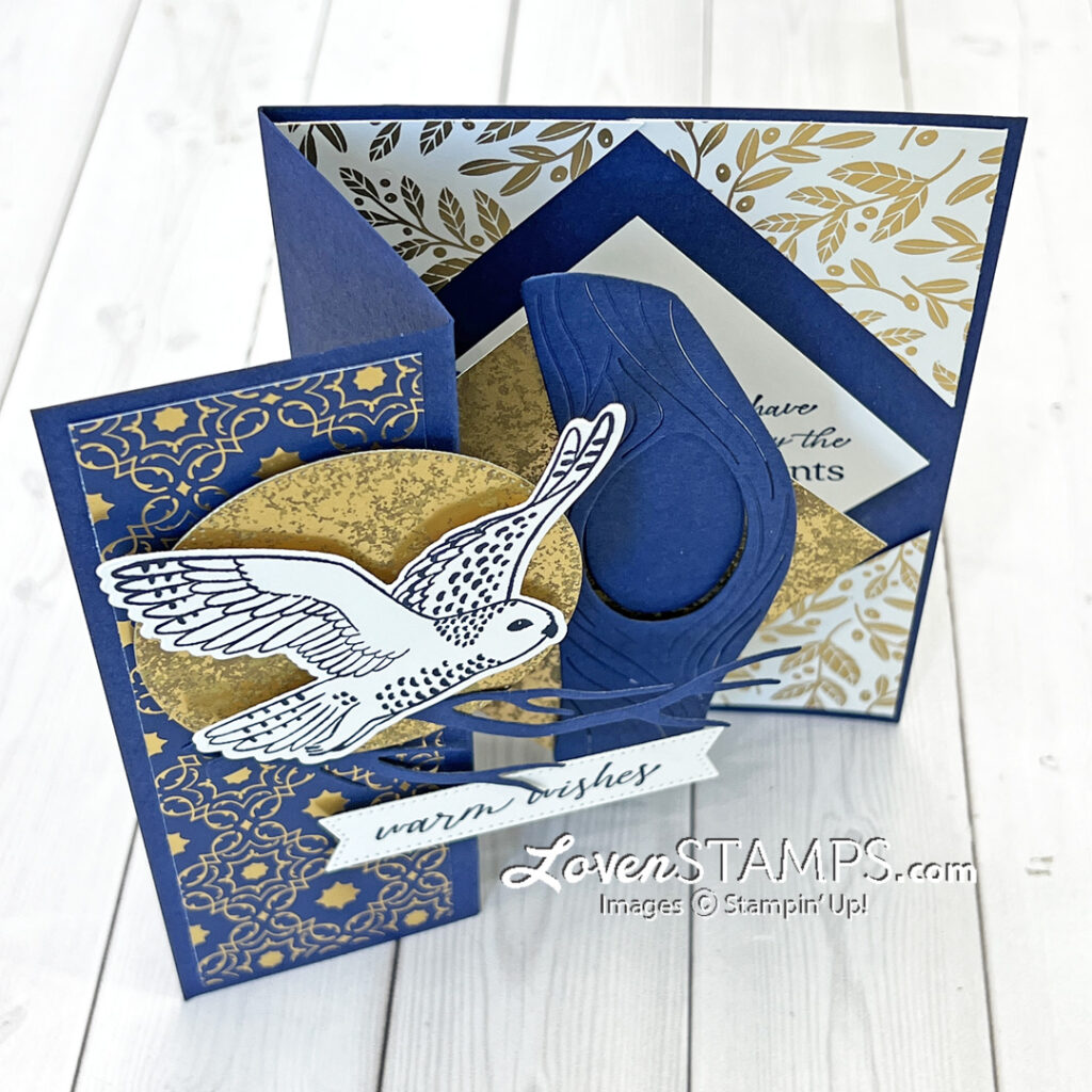 ep-413-diagonal-diamond-pop-up-card-shining-brightly-winter-owls-stampin-up-fun-fancy-fold-card-TOP-view