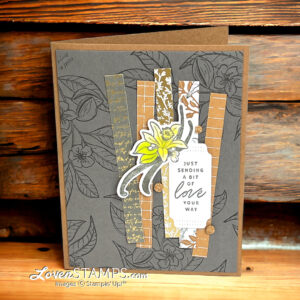 ep-430-natures-sweetness-dsp-lovely-and-sweet-bundle-vanilla-bean-strippy-card-wood