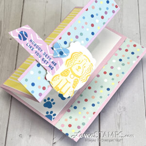 ep-440-naarrow-z-fold-card-pets-and-more-dog-rabbit-cat-stampin-up-online-exclusives-march-2024-lighter-than-air-DSP-front