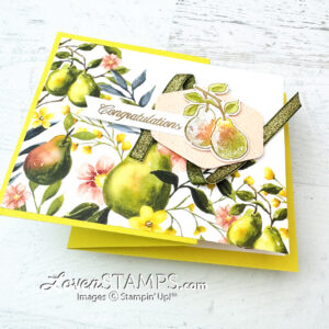 ep-562-extended-z-fold-painterly-pears-perfectly-suite-collection-stampin-up-online-exclusive-corner-part-openJuly 1 brings NEW products to my Stampin' Up! store, including 3 new Suite Collections and MANY new stamp bundles - like the NEW Painterly Pears Suite Collection. I'll be featuring the new Perfectly Pears bundle and paper in LovenStamps Monthly Tutorials (the PDF project sheet with ALL the details to print at home)! Today's fun fold card is a twist on the regular Z Fold Card - with a DSP extension that can let you see BOTH sides of this pretty paper.