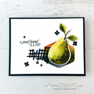 ep-564-simple-elegance-stamping-perfectly-pairs-dsp-stampin-up-full-card