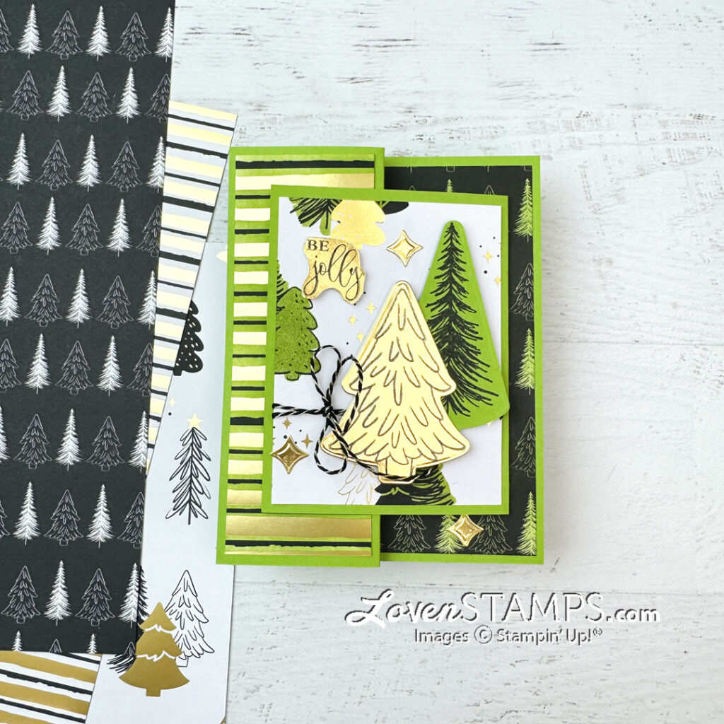 ep-586-3x4-dsp-z-fold-reverse-panel-custom-color-modern-christmas-stampin-up-tutorial-pdf-standing